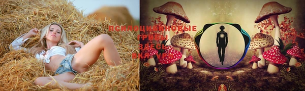 стаф Наволоки
